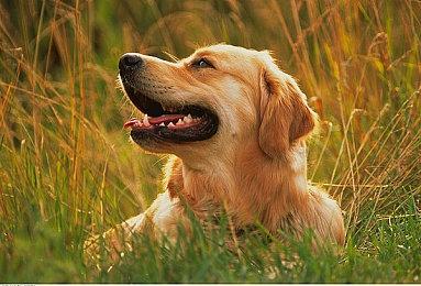 《最后的咒语》脱离抢先体验 正式登陆Steam和主机平台